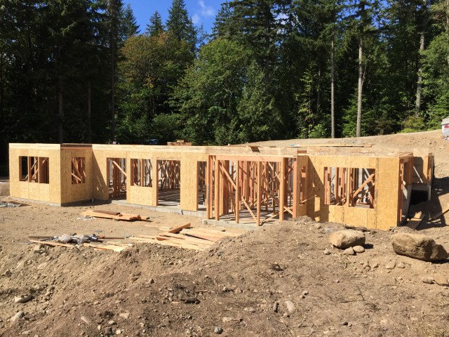 Check out our lower level!  It's so awesome to see it go up and be able to walk through it now!  Absolutely surreal!