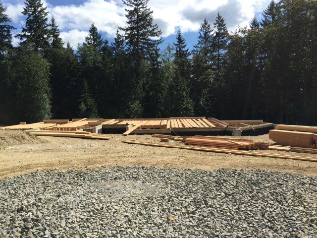 Here's what the house looks like from the road as you drive up - so much progress this week!